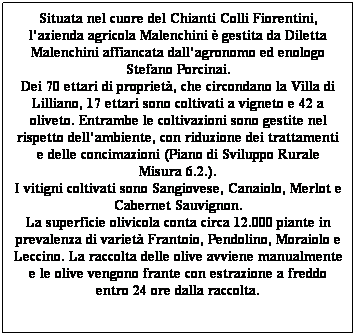 Casella di testo: Situata nel cuore del Chianti Colli Fiorentini, l�azienda agricola Malenchini � gestita da Diletta Malenchini affiancata dall�agronomo ed enologo Stefano Porcinai.
Dei 70 ettari di propriet�, che circondano la Villa di Lilliano, 17 ettari sono coltivati a vigneto e 42 a oliveto. Entrambe le coltivazioni sono gestite nel rispetto dell�ambiente, con riduzione dei trattamenti e delle concimazioni (Piano di Sviluppo Rurale Misura 6.2.).
I vitigni coltivati sono Sangiovese, Canaiolo, Merlot e Cabernet Sauvignon.
La superficie olivicola conta circa 12.000 piante in prevalenza di variet� Frantoio, Pendolino, Moraiolo e Leccino. La raccolta delle olive avviene manualmente e le olive vengono frante con estrazione a freddo entro 24 ore dalla raccolta. 

&nbsp;
